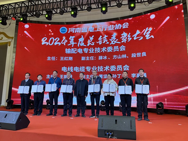 索凌電氣榮獲河南省電工行業(yè)雙優(yōu)稱號， 持續(xù)助力電力行業(yè)發(fā)展